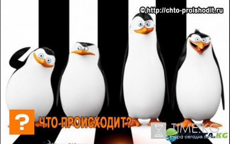 Живые символы поддержали команду: в матче НХЛ на лёд вышли пингвины