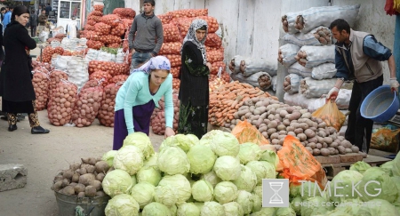 Кыргызстан и Таджикистан приступают к модернизации систем безопасности продуктов питания