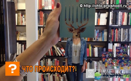 Что происходит, когда сотрудники книжного магазина скучают? Осторожно! Быть посетителем стало небезопасно!