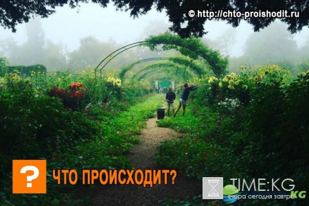 Цветочные чудеса: 13 красивых мест для идеального отпуска