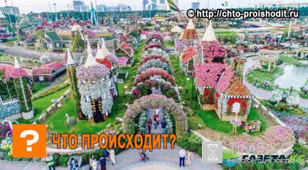 Цветочные чудеса: 13 красивых мест для идеального отпуска