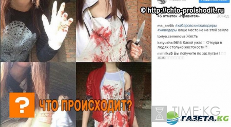 «Хабаровские живодёрки» предстанут перед судом — вход СМИ строго запрещён