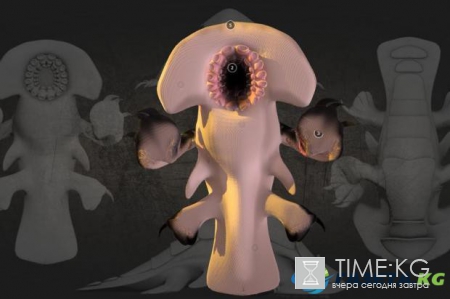 Инопланетяне не похожи на людей: исследователи показали 3D-изображения жителей других галактик