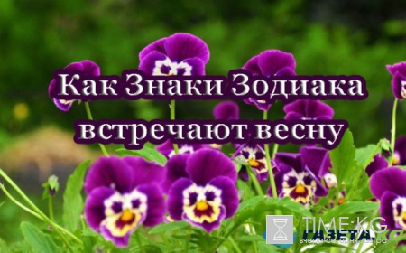 Как Знаки Зодиака адаптируются к весне: любопытный гороскоп