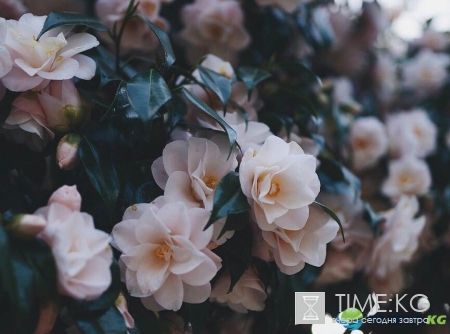 Куда пойти в Киеве на выходных 18-19 марта (афиша)