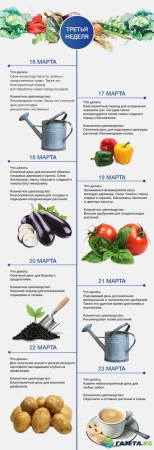 Лунный посевной календарь для садовода на март 2017 года