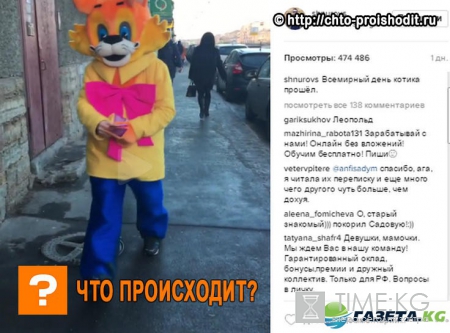 Милые котики: Доктор Шнур проводит психологический тест с фолловерами