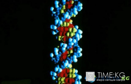 Научные открытия: ученые создали революционную трехмерную карту ДНК