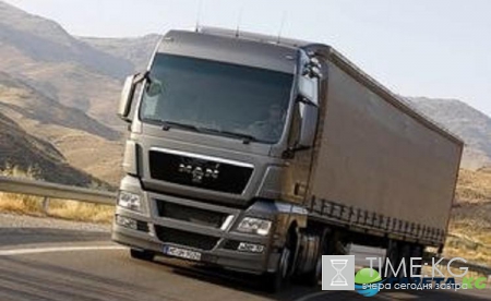 Под Оренбургом бросили белых тигров на трассе