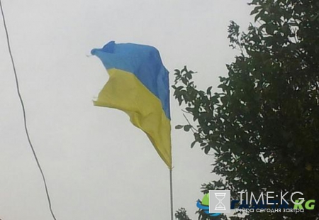 Предсказания Мохсен Норузи об Украине: разъяренные АТОшники будут рубить головы политикам и сжигать их живьем на кострах