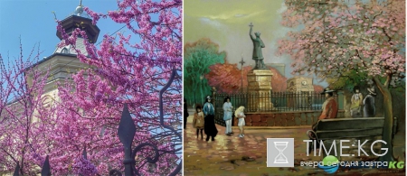 Рассказ Анатолия Штаркмана “Кишиневская весна”