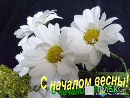 С первым днем весны (1 марта): прикольные картинки, стихи короткие, смс