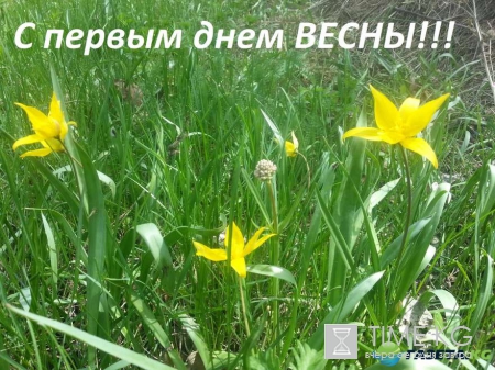 С первым днем весны (1 марта): прикольные картинки, стихи короткие, смс