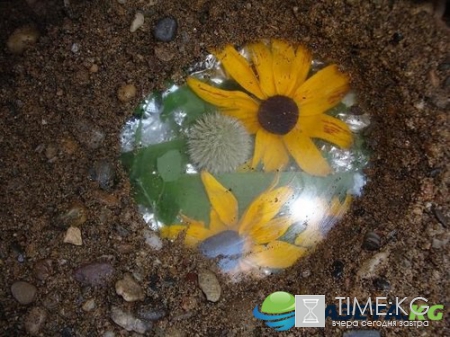 Самая Замечательная детская «игра в „секретики”»