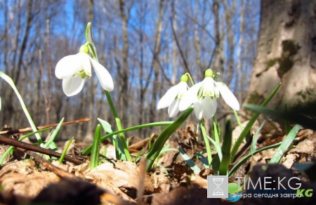 Сегодня украинцам улыбнется солнышко