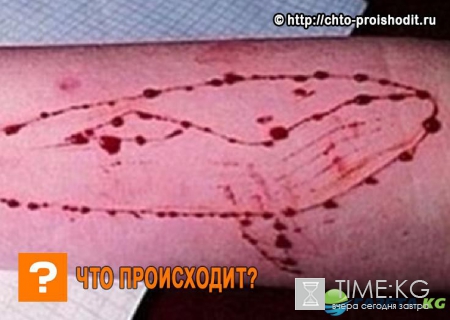 «Синий кит» двинулся на Европу - неужели им мало российских детей?
