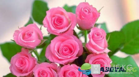 Сколько в России будет выходных в марте 2017 года: как отдыхаем на 8 марта, количество выходных