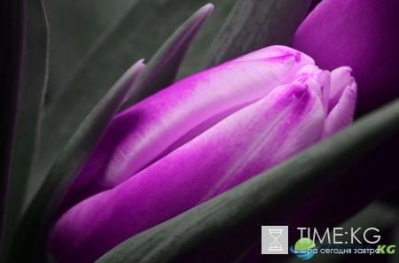 Стихи, поздравления с 8 Марта в стихах на все случаи жизни