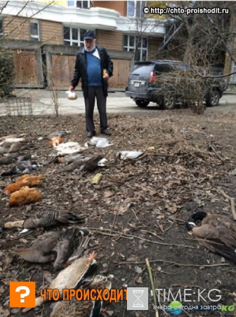 Украина ахнула, узнав, что натворил подчиненный Кличко ради выгодной стройки