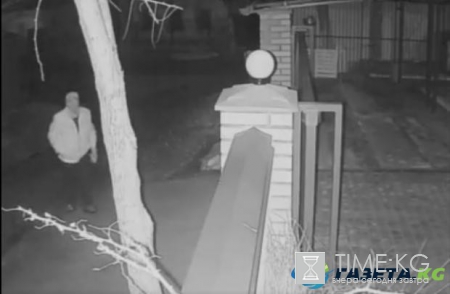 В Киеве завелся отравитель домашних собак: жители просят найти изверга