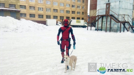 В Красноярском крае замечен выгуливающий собаку "Дэдпул"