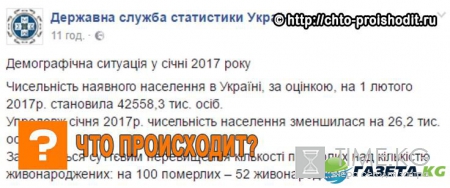 «Зона отчуждения»: Госстат Украины шокировал народ и власть — такого быстрого краха никто не ожидал