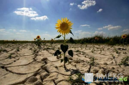 Глобальные изменения климата лишат человечество питьевой воды