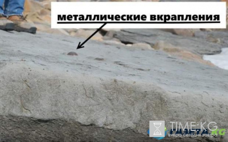 Кого прячет остров Русский: новая интрига от инопланетян