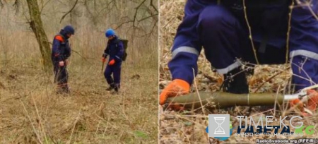 Новости «Новороссии»: мины гранаты и осколки вместо урожая