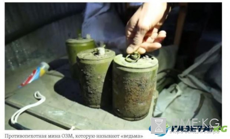 Новости «Новороссии»: мины гранаты и осколки вместо урожая