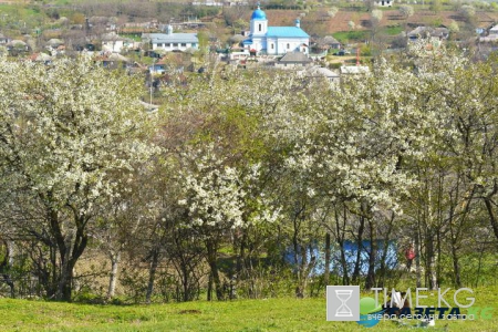Прекрасная весенняя Молдова. Фото Андрей Мардарь (Andrei Mardari )