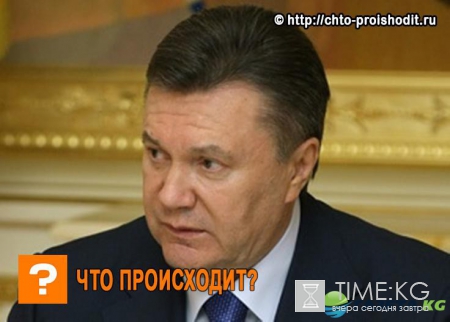 Распад Украины: голуби, ворон и чайка