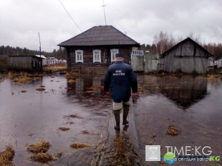 Томичи могут наблюдать за паводком в регионе с помощью смартфонов