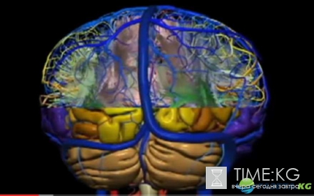 Ученые: у человека есть третье состояние сознания