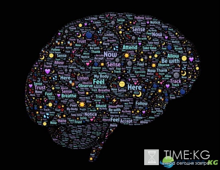 Ученые выяснили, как личность человека меняется в течении жизни
