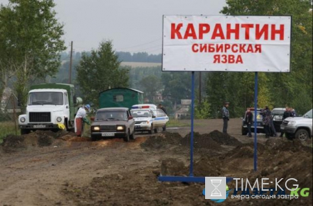 В 2017 году Россию может накрыть волна чумы холеры и сибирской язвы - ученые