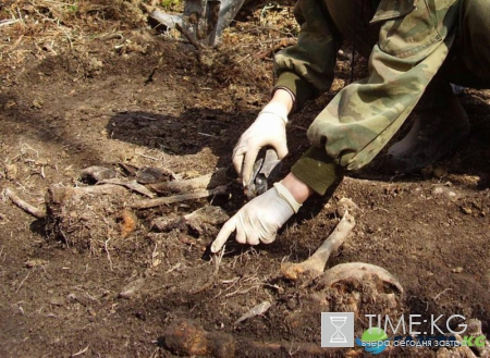 В Крыму на месте захоронения советских бойцов нашли смертный медальон&#8205;