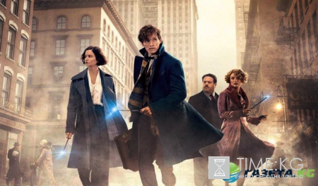 В Омске мужчина попытался упаковать в чемодан «фантастических тварей»