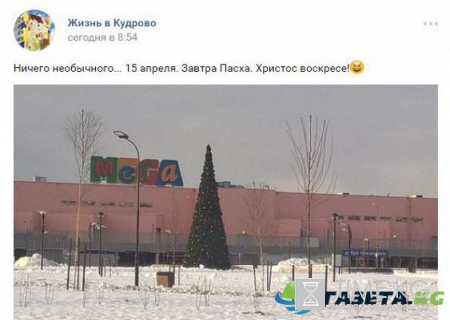 В России готовятся к Новому году 2018: установлена первая ель