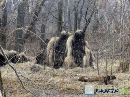 Йети существует: найдена берлога снежного человека