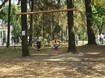 В Киеве открывается большой качельный парк В Киеве открывается большой качельный парк