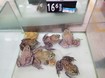 Владимир Гришко ест лягушек и учит китайский язык (фото) Владимир Гришко ест лягушек и учит китайский язык (фото)