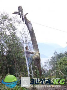 25+ фотографий, сделанных за мгновение до катастрофы 25+ фотографий, сделанных за мгновение до катастрофы