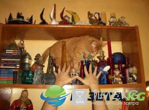 25+ фотографий, сделанных за мгновение до катастрофы 25+ фотографий, сделанных за мгновение до катастрофы