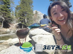 25+ фотографий, сделанных за мгновение до катастрофы 25+ фотографий, сделанных за мгновение до катастрофы