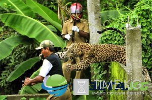 25+ фотографий, сделанных за мгновение до катастрофы 25+ фотографий, сделанных за мгновение до катастрофы