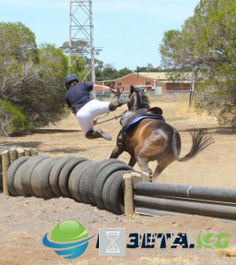 25+ фотографий, сделанных за мгновение до катастрофы 25+ фотографий, сделанных за мгновение до катастрофы