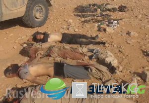 Атака «Спецназа из СССР»: боевиков ИГИЛ разорвало на куски у Пальмиры , ФОТО 18+ Атака «Спецназа из СССР»: боевиков ИГИЛ разорвало на куски у Пальмиры , ФОТО 18+
