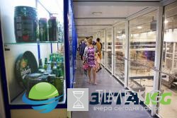 «Балтика» встретила 700 000 экскурсанта