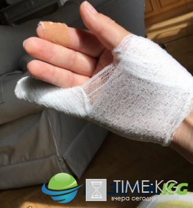 Британский посол получил травмы, убегая от кабана под Веной